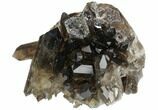 Gorgeous, Dark Smoky Quartz Crystal Cluster - Brazil #124611-3